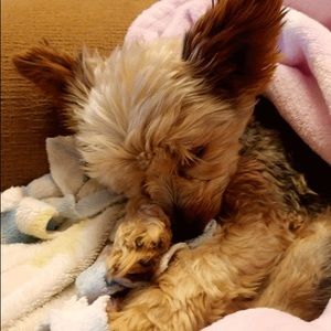 Meet your Posher, Kevin